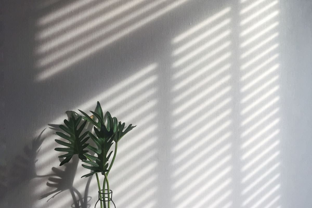 Bifold Door Blinds